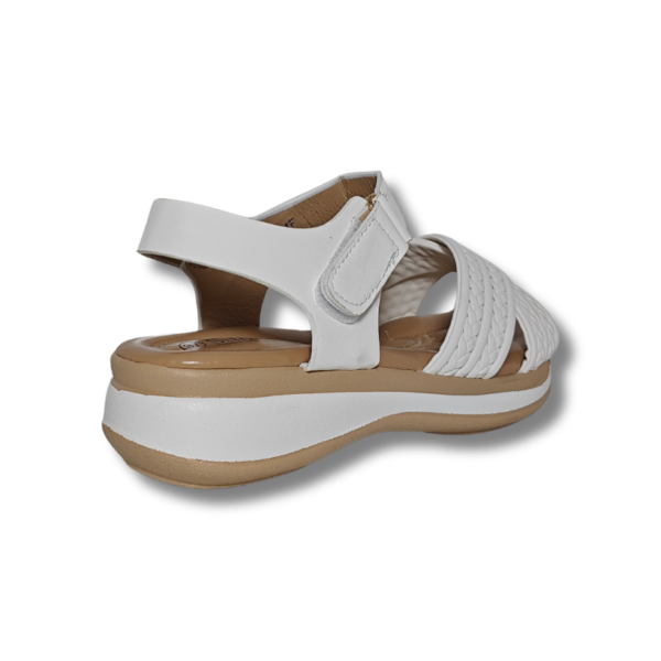 Sandalia HF-36 - Imagen 7